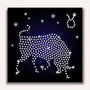 Paint by Numbers - Zodiac sign Taurus