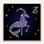 Paint by Numbers - Zodiac sign Capricorn