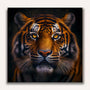 Paint by Numbers - Tiger frontal view