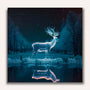 Paint by Numbers - White deer