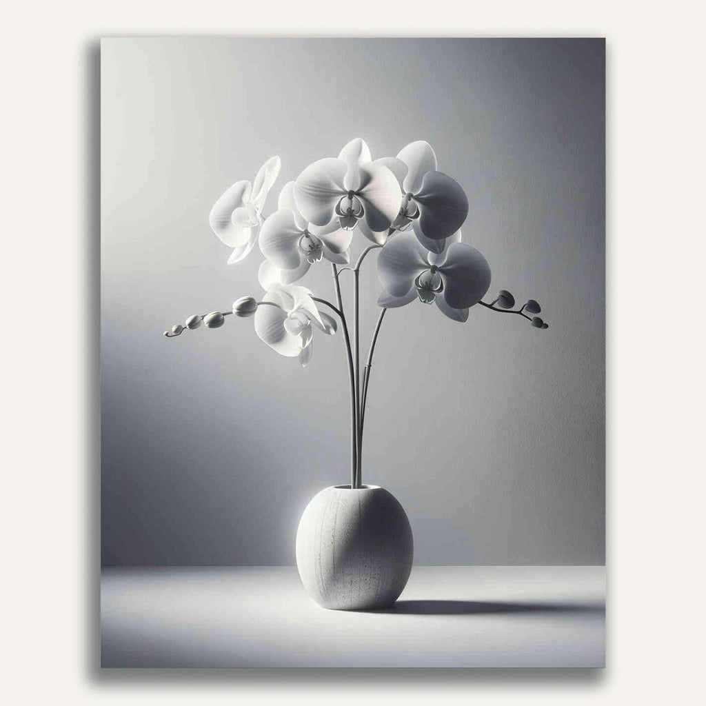 Paint by Numbers - White Orchid in Vase