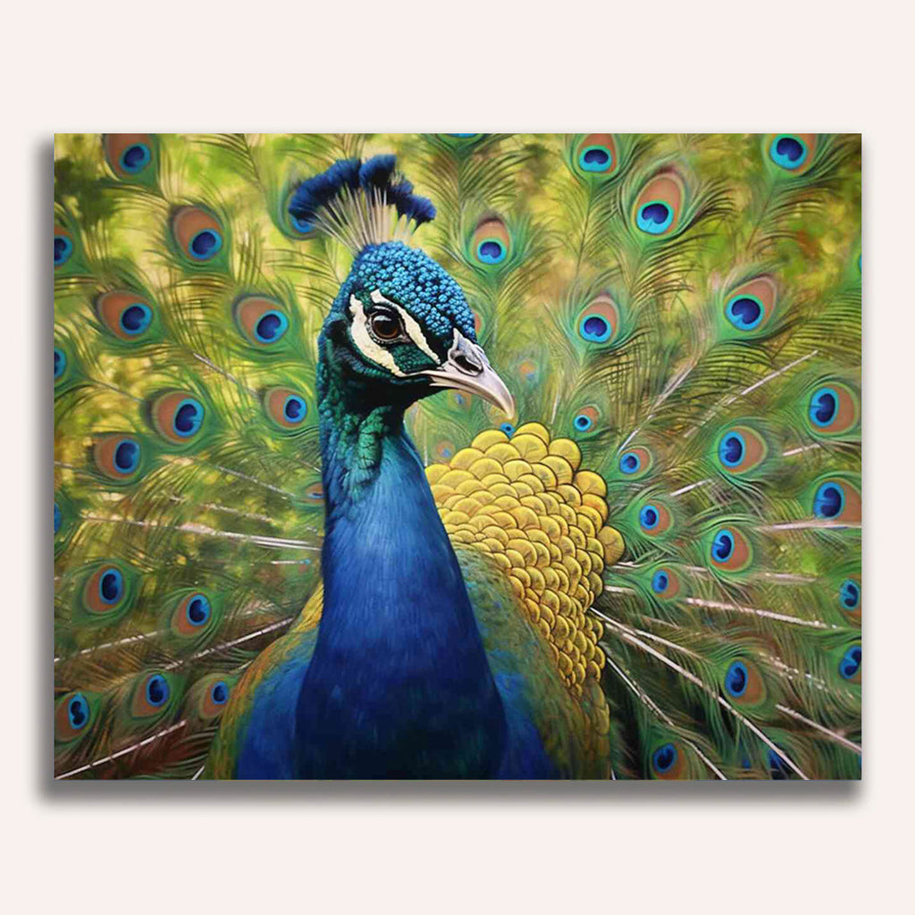 Paint by Numbers - Portrait of a peacock splendor