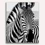 Zebra, Black and White - Paint by Numbers