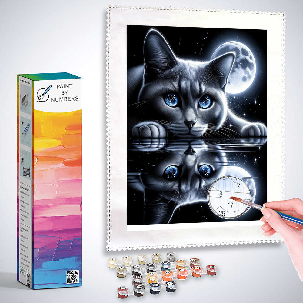 Paint by Numbers - Cat reflection