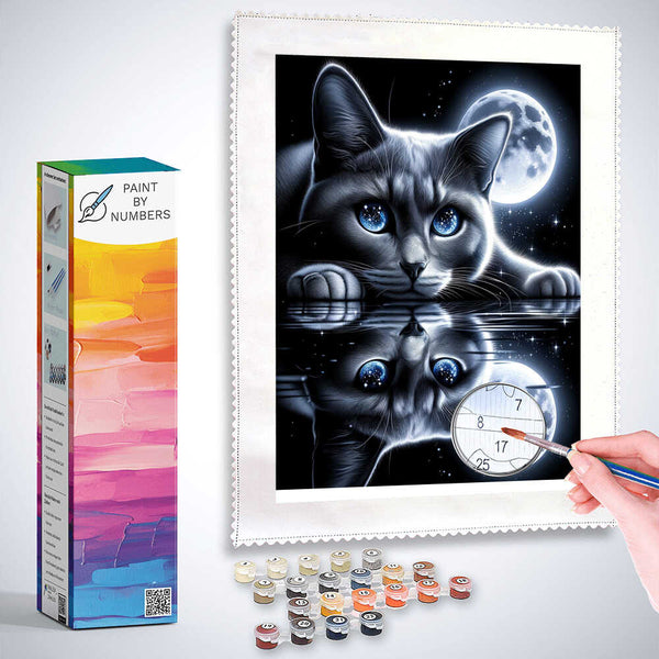 Paint by Numbers - Cat reflection