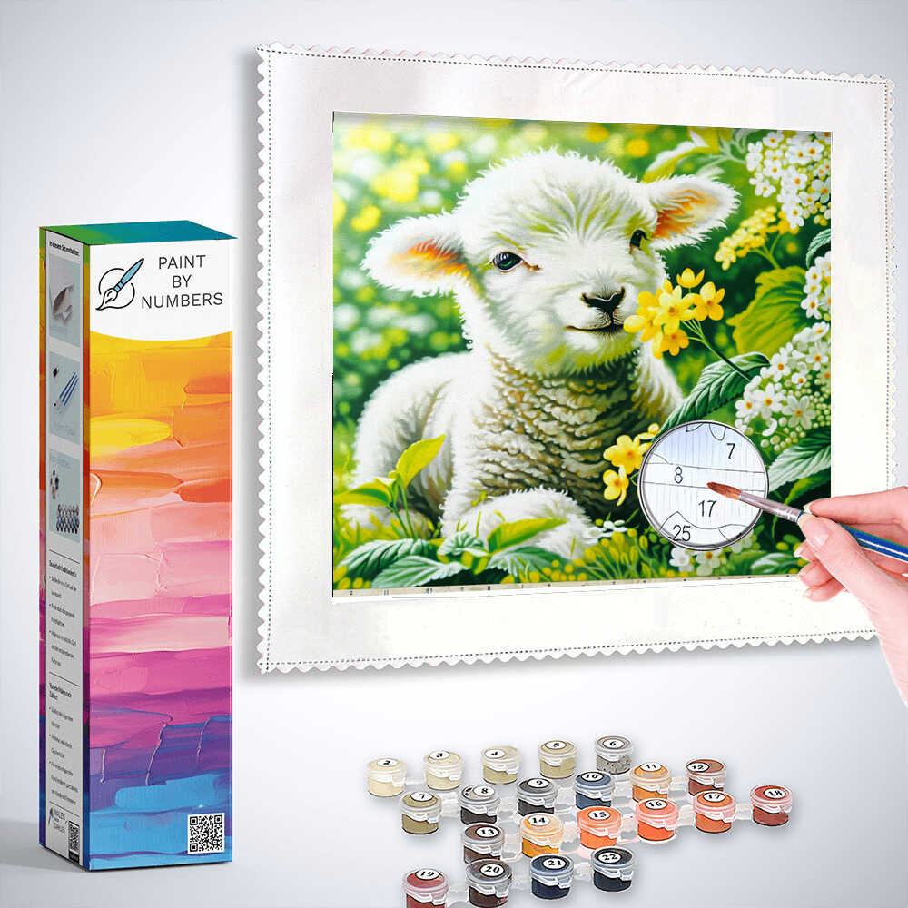 Paint by Numbers - Little Lamb with Flower