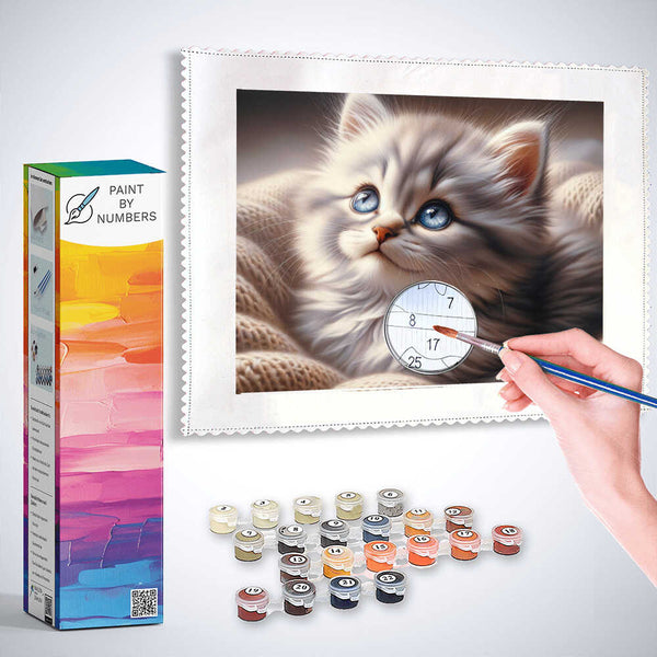 Paint by Numbers - Kitten with blue eyes