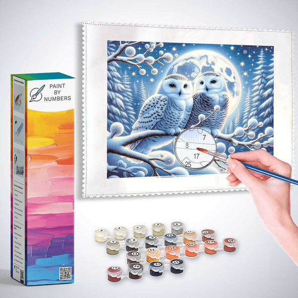 Paint by Numbers - Snowy owls couple