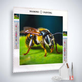 Diamond Painting - Biene Frontal - gedruckt in Ultra-HD - Biene, Neu eingetroffen, Quadratisch, Tiere