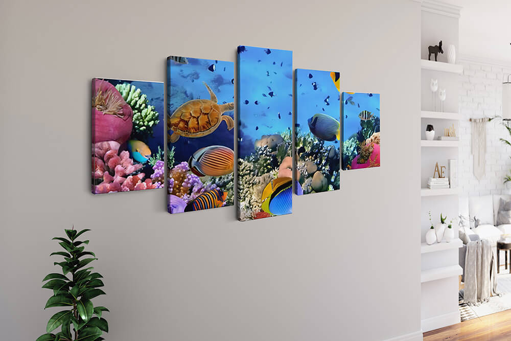 Malen nach Zahlen 5 teilig - Schildkröte und Fische, Korallenwelt - hochwertige Leinwand - multi5, neue_bilder