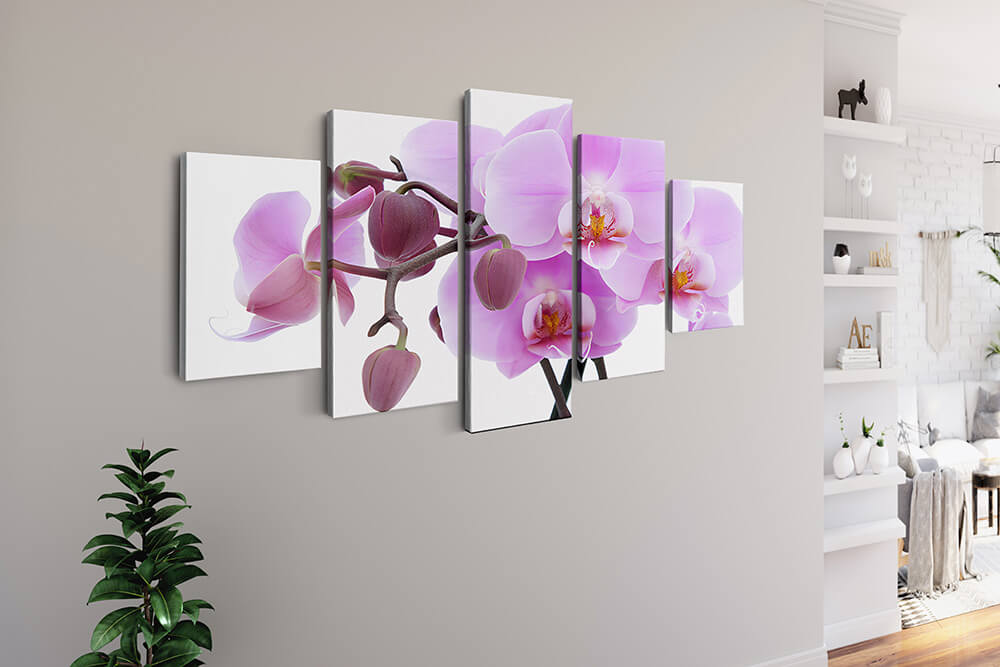 Malen nach Zahlen 5 teilig - Orchidee in groß, violett - hochwertige Leinwand - multi5, neue_bilder