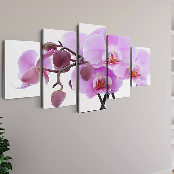 Malen nach Zahlen 5 teilig - Orchidee in groß, violett - hochwertige Leinwand - multi5, neue_bilder