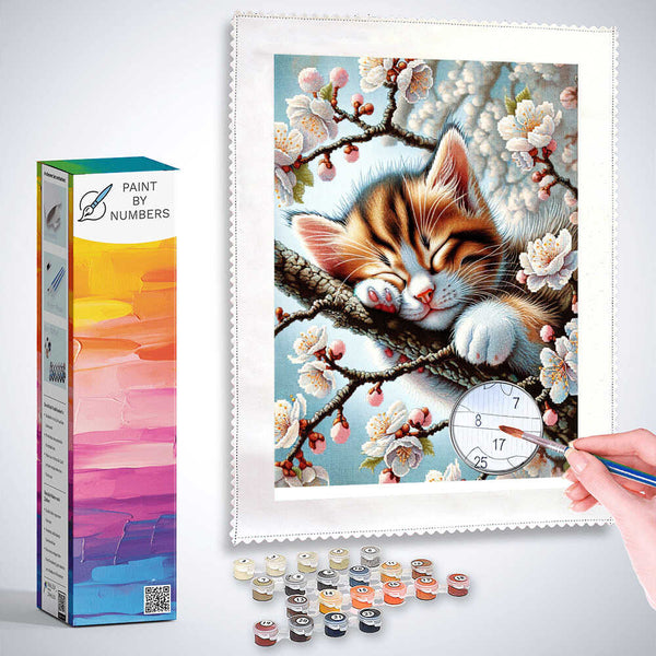 Paint by Numbers - Sleeping kitten