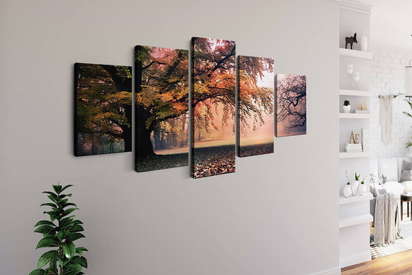 Malen nach Zahlen 5 teilig - Waldwiese, große und alte Bäume - hochwertige Leinwand - multi5, neue_bilder