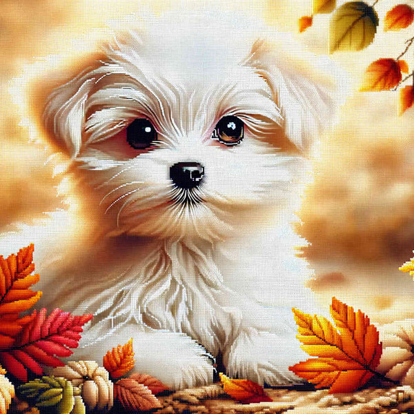 small white dog - Paint by Numbers