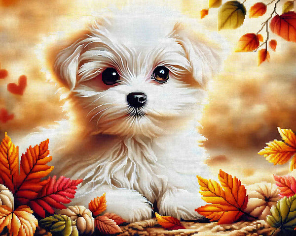 small white dog - Paint by Numbers