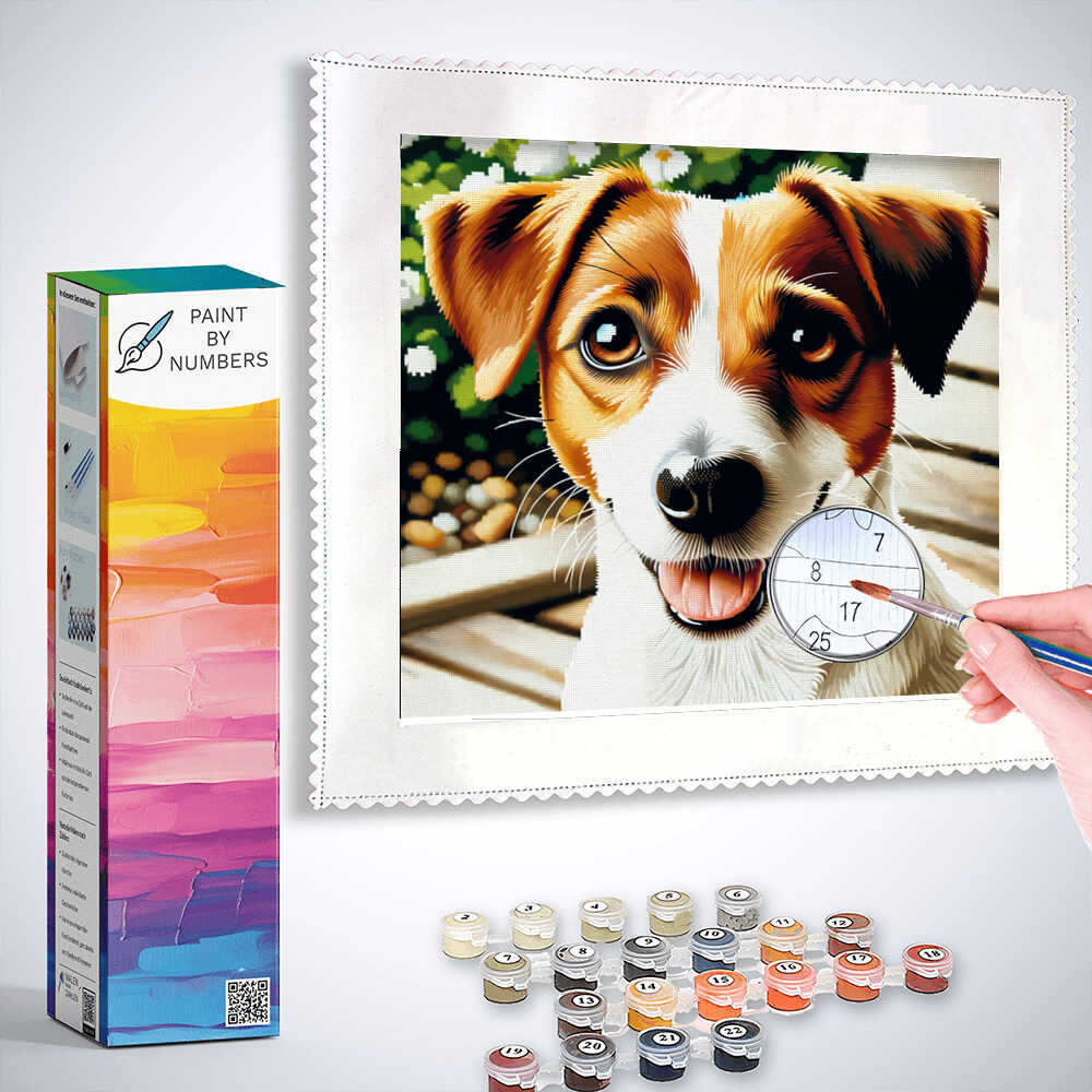 Paint by Numbers - Jack Russel in Brown and White