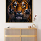 Malen nach Zahlen - Tiger frontaler Blick - hochwertige Leinwand - 170523, Neu eingetroffen, Quadratisch, Tiere, Tiger