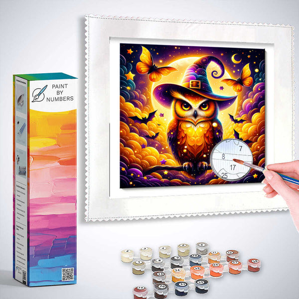 Paint by Numbers - Owl with witch hat and bats