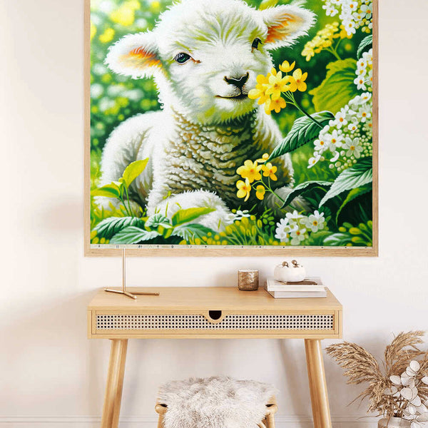 Paint by Numbers - Little Lamb with Flower