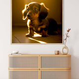 AB Diamond Painting - Dachshund Puppy in Sunshine. Diamond Painting Kits for Art that Sparkles. Paint by Numbers.