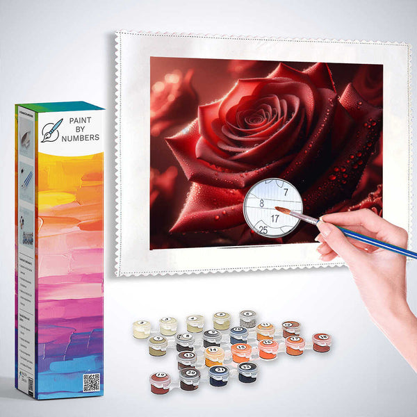 Paint by Numbers - Red Rose Close Up