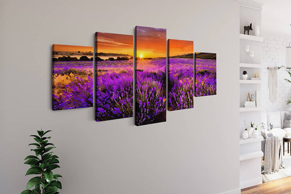 Malen nach Zahlen 5 teilig - Lavendelfeld in Violett, Sonnenuntergang - hochwertige Leinwand - multi5, neue_bilder