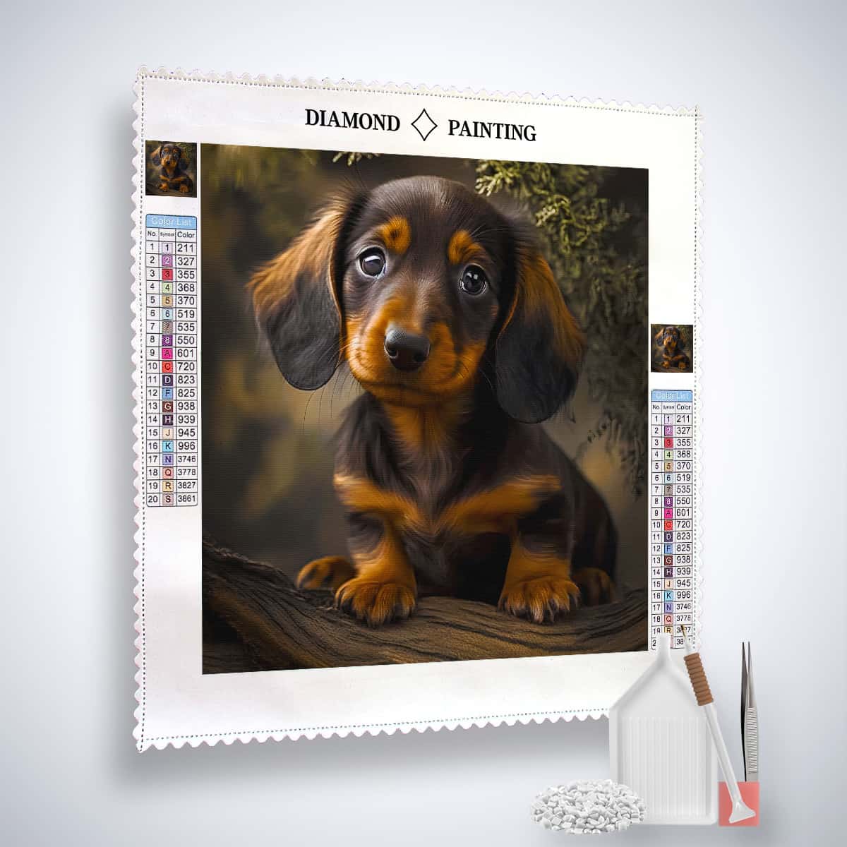 Diamond Painting Kit - Dachshund looking at camera on quality canvas with acrylic diamonds and tools, perfect for Paint by Numbers enthusiasts.