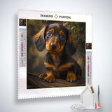 Diamond Painting Kit - Dachshund looking at camera on quality canvas with acrylic diamonds and tools, perfect for Paint by Numbers enthusiasts.
