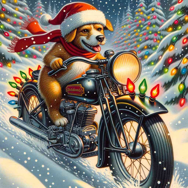 Paint by Numbers - Dog Motorcycle