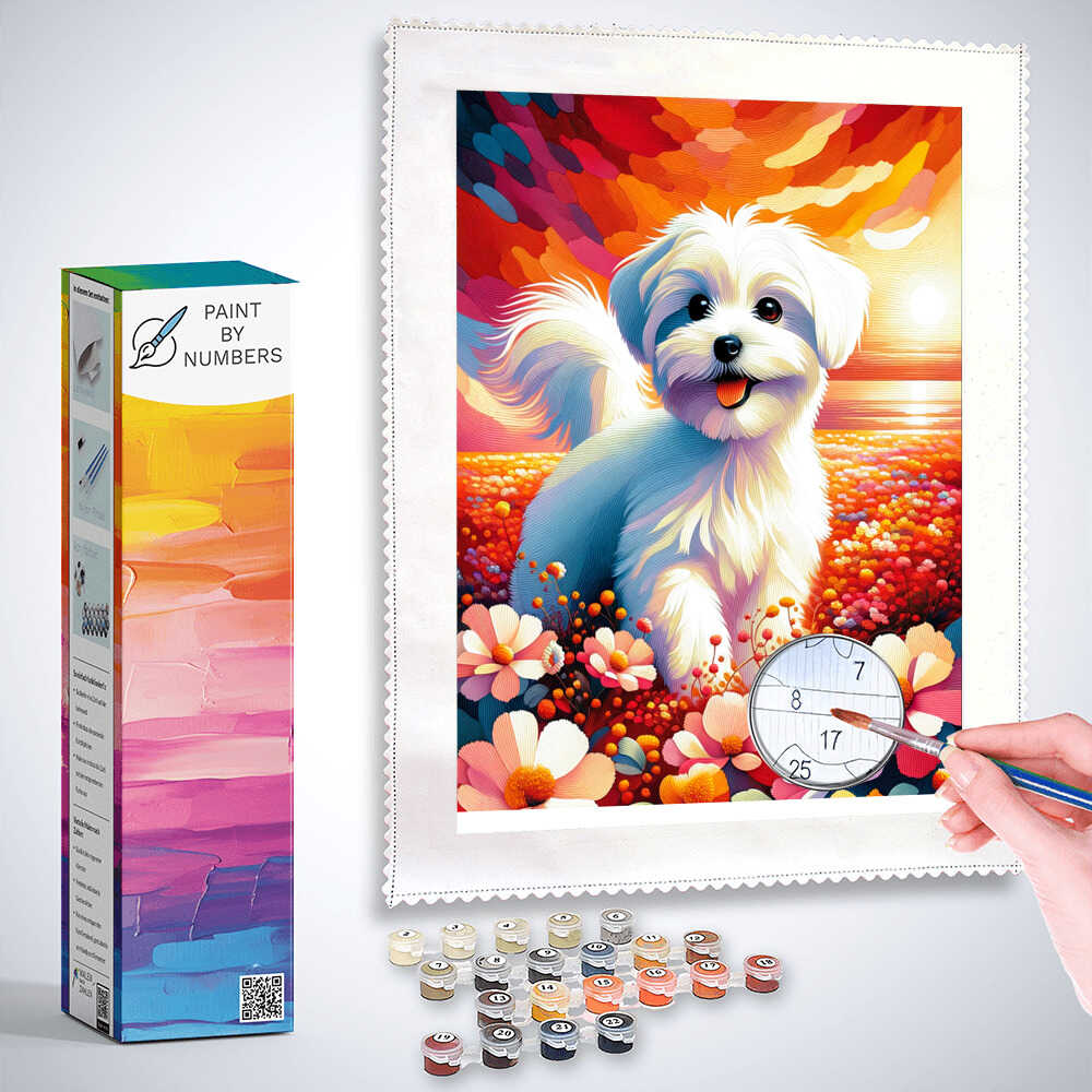 Maltese, White dog - Paint by Numbers