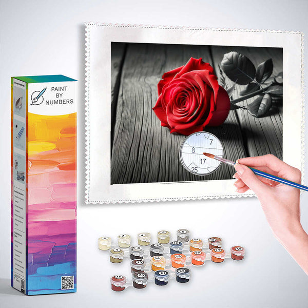 Paint by Numbers - Rose on wood