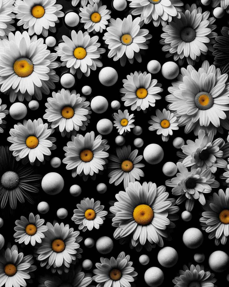 Paint by Numbers - Argerites Black and White