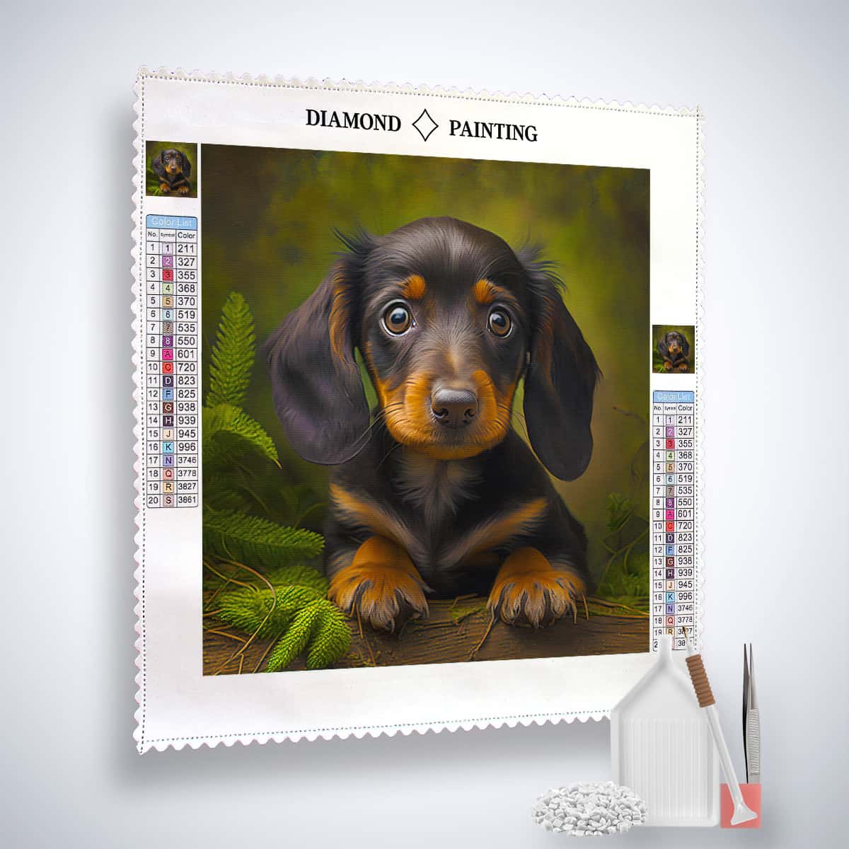 Diamond Painting - Dachshund View Paint by Numbers art kit with canvas, acrylic diamonds, tweezers, application pen, and multiplacer.