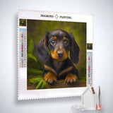 Diamond Painting - Dachshund View Paint by Numbers art kit with canvas, acrylic diamonds, tweezers, application pen, and multiplacer.