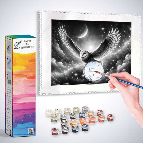 Paint by Numbers - Owl flying at night