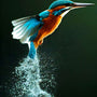 Kingfisher diving out of water, vibrant blue and orange feathers, Diamond Painting Kit, Art that Sparkles, Paint by Numbers