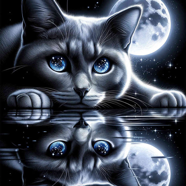 Paint by Numbers - Cat reflection