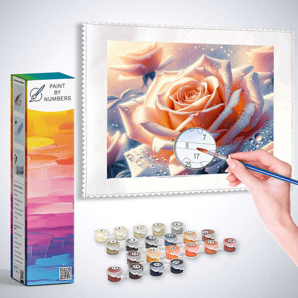 Paint by Numbers - Peach Rose