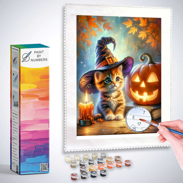 Paint by Numbers - Cat Witch with Curbis