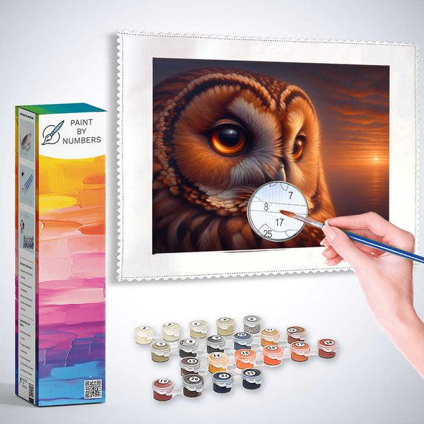 Paint by Numbers - Loving owl