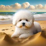 Diamond Painting - Cute fluffy dog on the beach, perfect for Paint by Numbers art projects