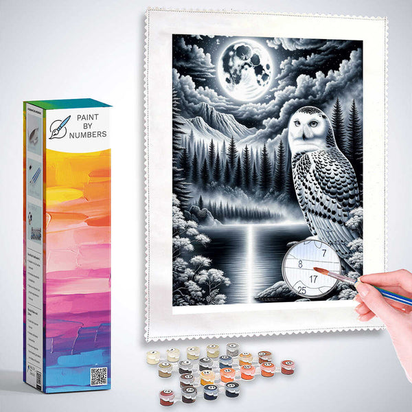 Paint by Numbers - Night Owl