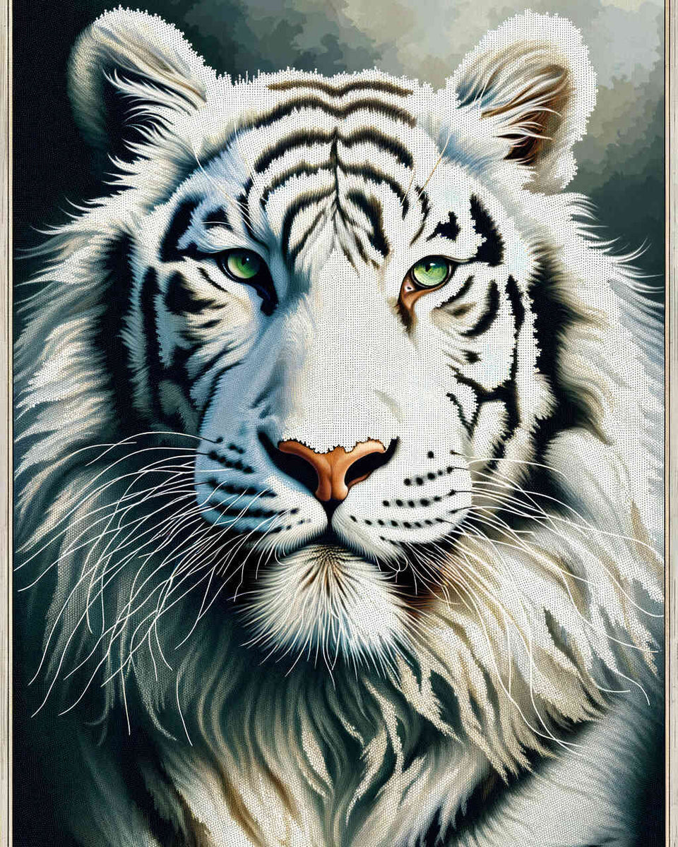 Paint by Numbers - White tiger, portrait
