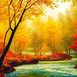 Malen nach Zahlen - Rote Bäume, Sonnenuntergang - hochwertige Leinwand - Fluss, Horizontal, Landschaft, Sonnenuntergang