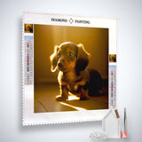 AB Diamond Painting Kit - Dackel im Sonnenschein, Paint by Numbers, Sparkling Art, Professional Canvas, Enhanced Acrylic Diamonds, Tools Included