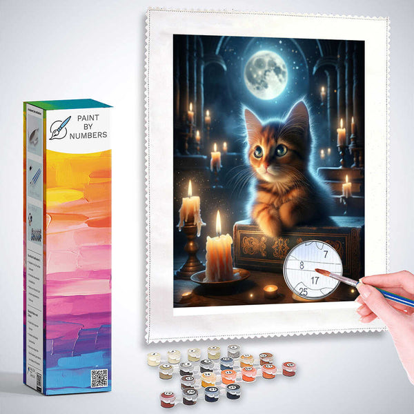 Paint by Numbers - Cat in the Kerry