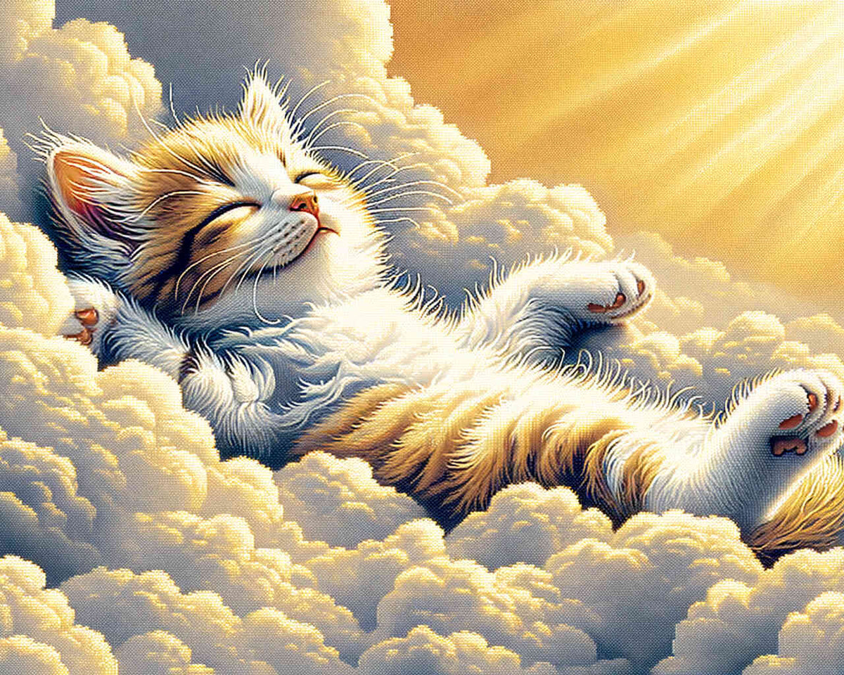 Paint by Numbers - Relaxed kitten