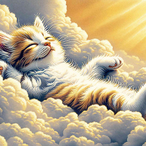 Paint by Numbers - Relaxed kitten