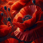 Flowers, close up red - Paint by Numbers